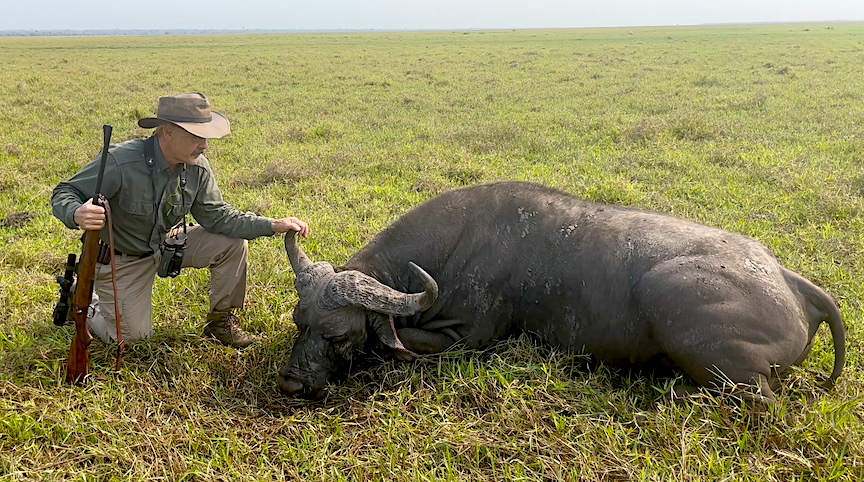 Cape Buffalo Hunt, ZambezeDeltaSafaris — Ron Spomer Outdoors